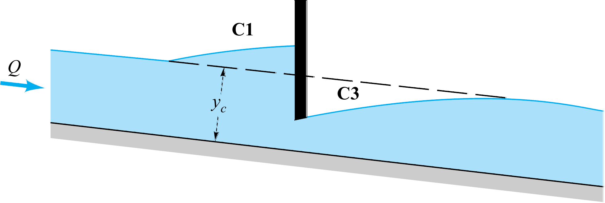 Branches C