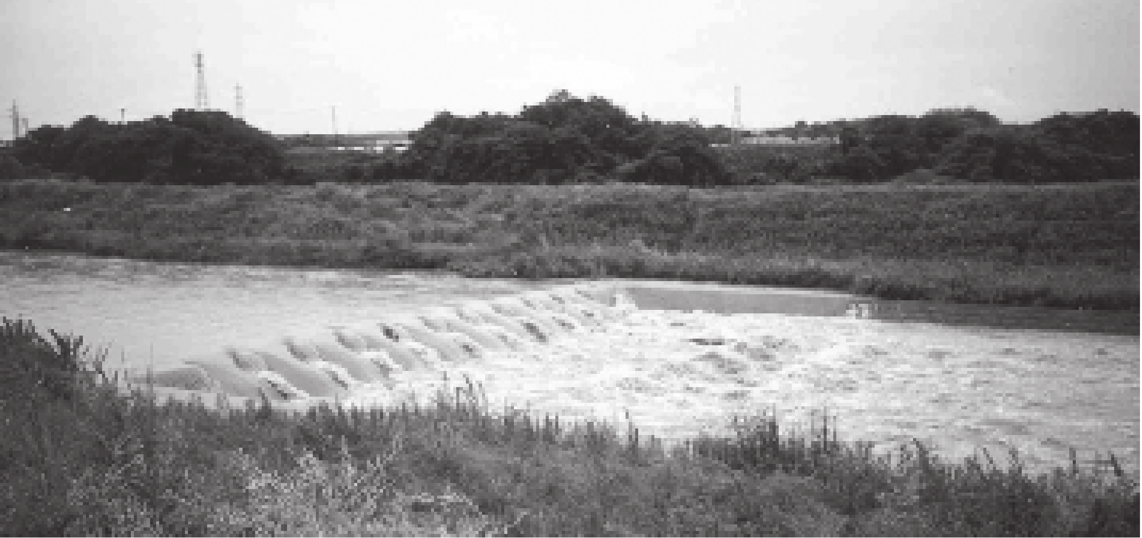 Toyohashi moyen